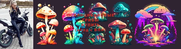 мдпв Зерноград