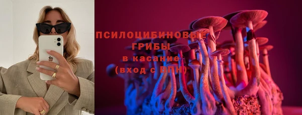 мдпв Зерноград