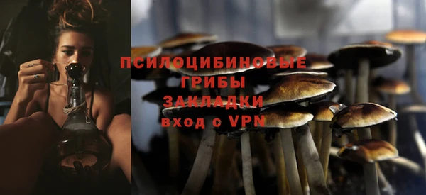 mdpv Зеленодольск