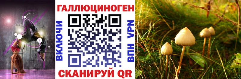 Галлюциногенные грибы мицелий  Купить где  Буинск 